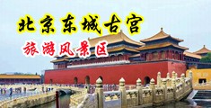 看个黄片带操逼视频中国北京-东城古宫旅游风景区